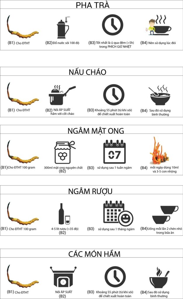 Cách Dùng Đông Trùng Hạ Thảo